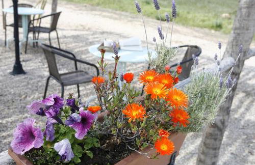 Hort de L'Aubert - Foto 29