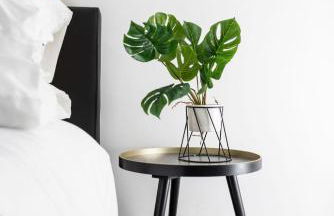 Warwick West - Foto 34