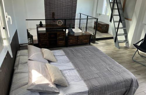 El Secreto del Ebro - Foto 19