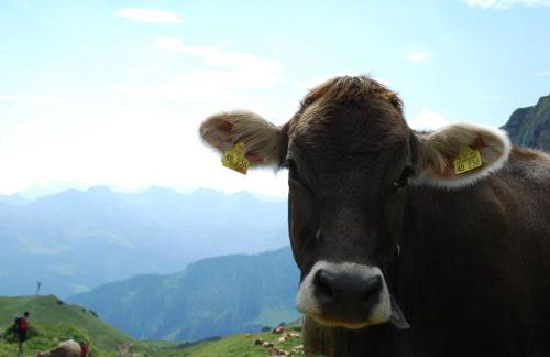 Ferienwohnung Eisele - Photo 28