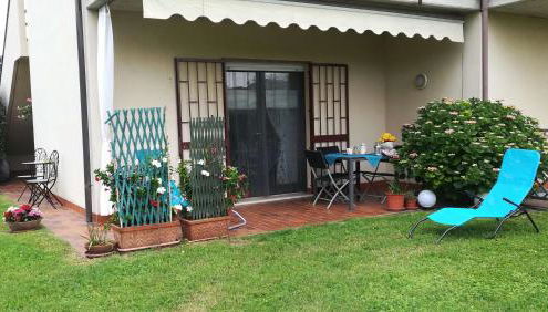 Prato Verde - Girasole - Foto 2