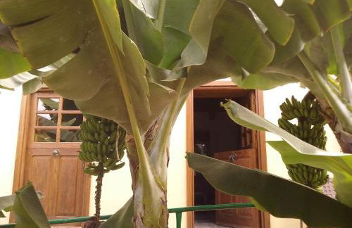 Casa Rural Llano Campo - Foto 38