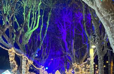 Milena apartment - Foto 21