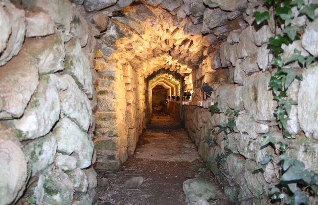 Agriturismo Giù al Pozzo - Foto 75