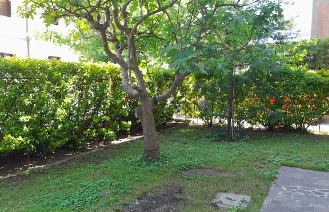 House Seven Venice Beach - Photo 17