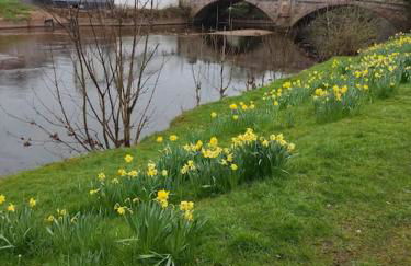 Eden house - Foto 40