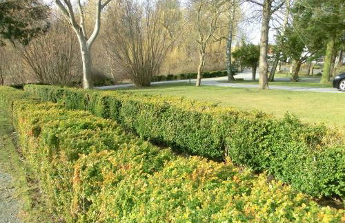 Kleeblatthaus Putbus Rügen - Foto 34