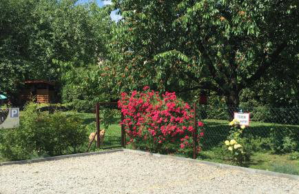 Apartament u Doroty - Foto 5