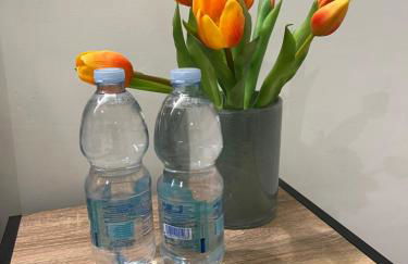 Giardino degli Ulivi Pompei - Foto 13