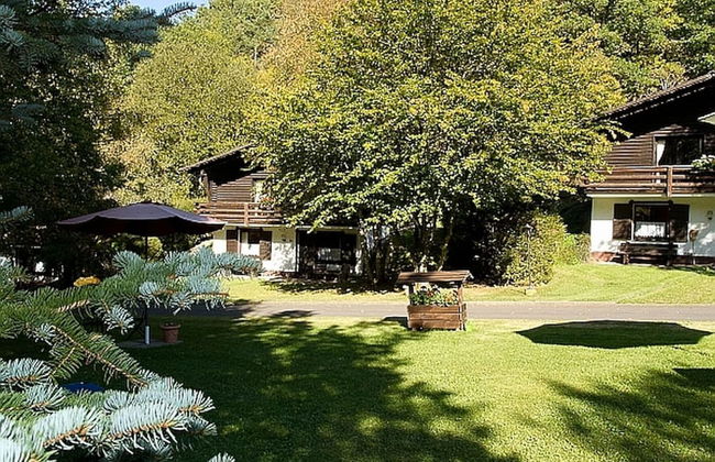 Chalet in Reinskopf With Fireplace and Balcony - Foto 1