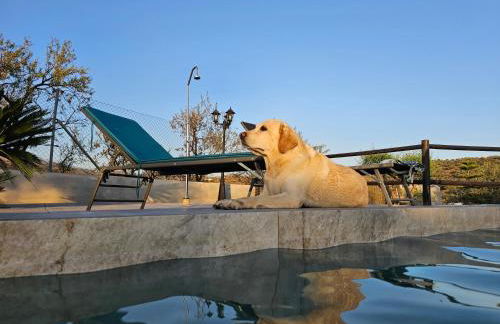 Finca las 3R - Foto 33