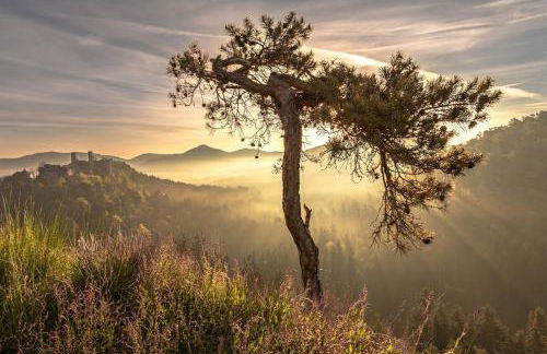 Ferienhaus 'Emma' Rodalben - Foto 11