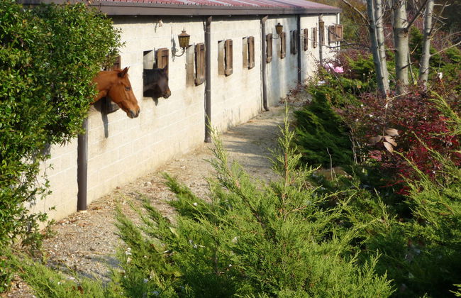 La Bertolina - Foto 26