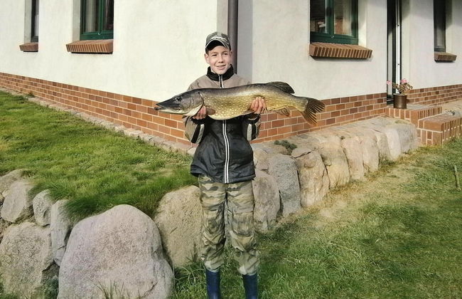 Ferienwohnung, Lohmen - Photo 9