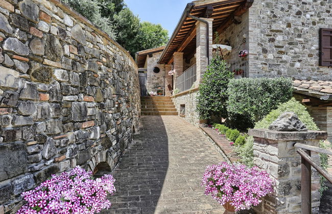 Tenuta Capitolini - Foto 33