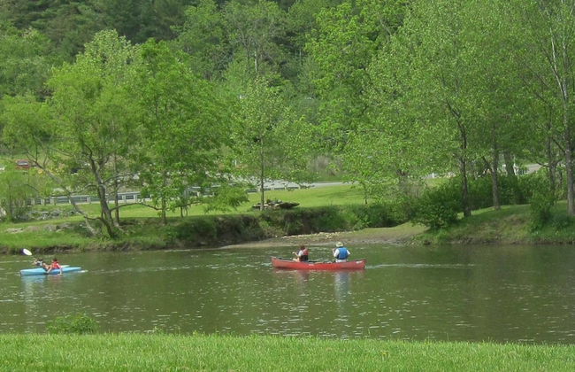 The Cabins at Healing Springs - Foto 58