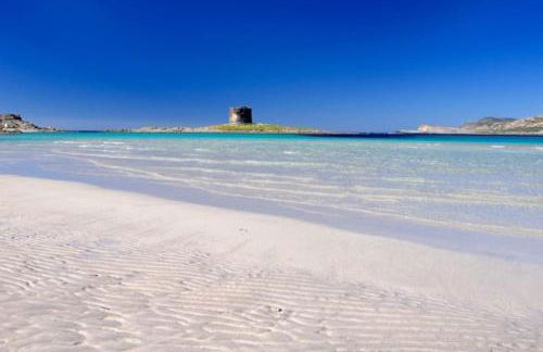Panoramic villa on top of Capo Falcone - Foto 53
