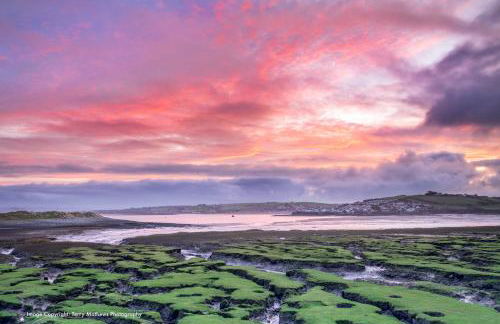 Catboat Cottage - Foto 40