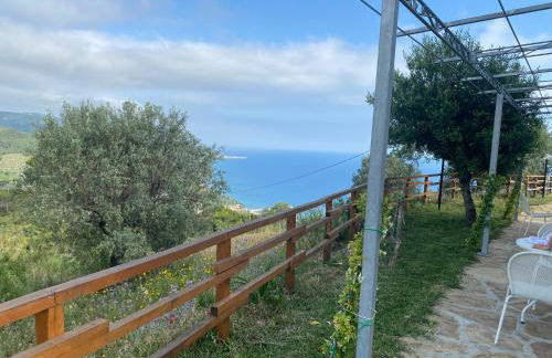 Tenuta Belvedere Cilento - Foto 23