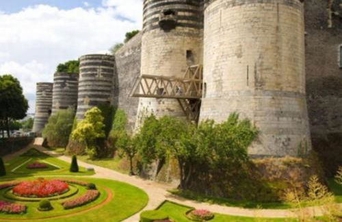 Gîte de charme, bord de Loire Ma Maison Angevine - Photo 25