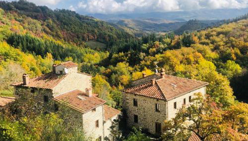 Bio Agriturismo Il Vigno - Pool Sauna Nature - Farm To Table Food - Wild Tuscan countryside - Adults Only - Your Place to Breathe - Foto 2