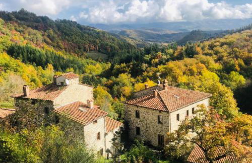 Bio Agriturismo Il Vigno - Pool Sauna Nature - Farm To Table Food - Wild Tuscan countryside - Adults Only - Your Place to Breathe - Foto 2