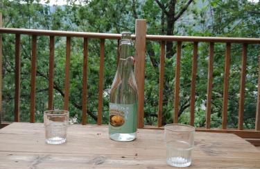 les gites axéens (l'Ours) - Foto 26