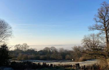 Bijou Cabin - Photo 3