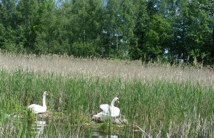 Domek Mazury - Jezioro Orzysz - Foto 39