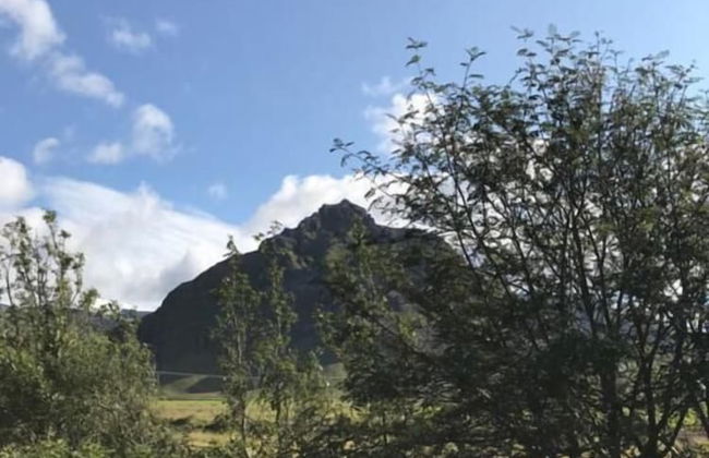 Grund Cabin - Foto 13