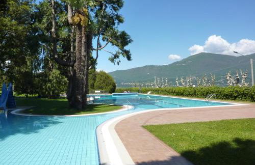 Hermitage mimosa - Photo 21