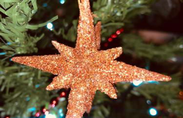 Rymmon Retreat - Photo 34