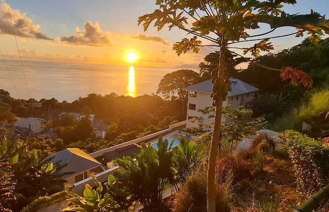 Tropical Secrets Holiday Apartments - Photo 42