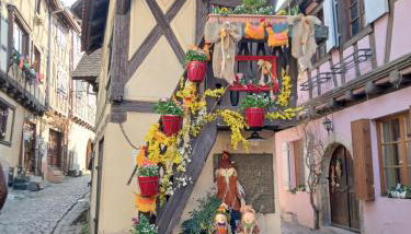 Fleur de Vigne - Foto 4