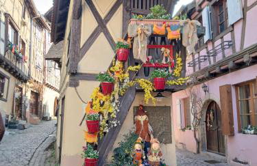 Fleur de Vigne - Foto 4