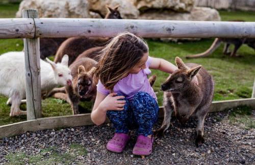 The Wendy House - Photo 23