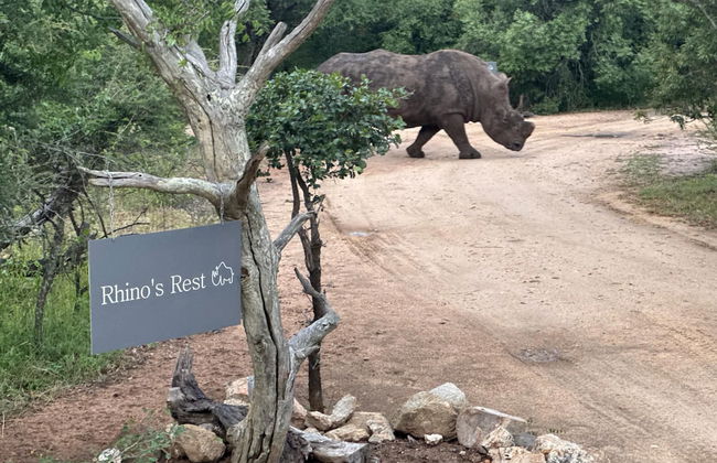 Rhino's Rest Private Luxury Villa - Photo 21