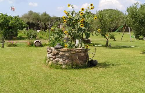 Domus Antiga Appartamenti - Foto 44