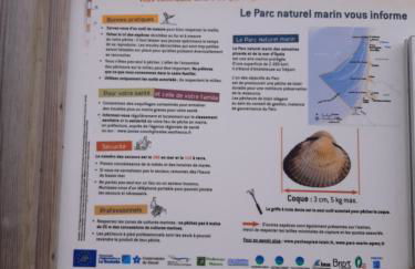 Les Obiones, vue latérale mer, Fort Mahon Plage, magnifique studio cabine 4p, avec balcon , parking privé gratuit, wifi, classé 2 étoiles, exposition plein sud en Baie de Somme - Foto 36