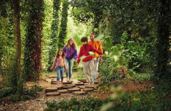 Center Parcs Erperheide - Photo 74