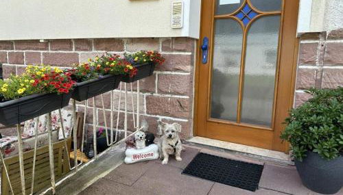 Black Forest House Zwink - Foto 2, Other