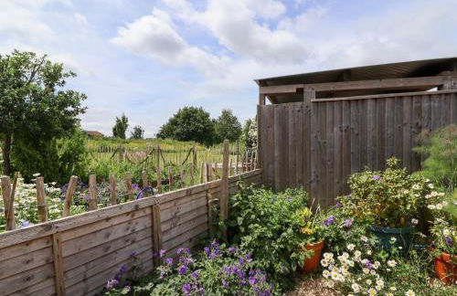 Tiny Willow - Foto 18