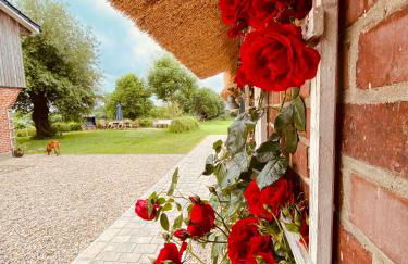 Hof Goosend - Urlaub an der Ostsee & Schlei - Foto 3