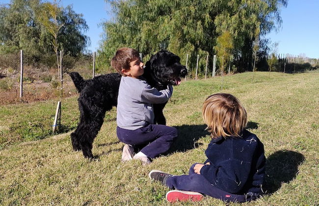 Viento Andino - Foto 21