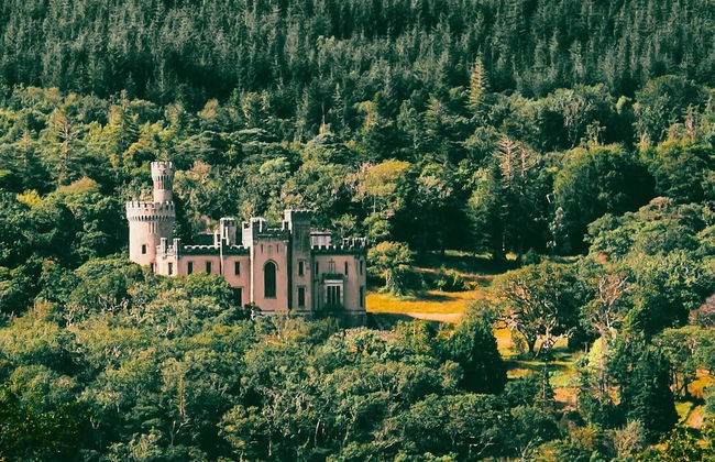 Newly Renovated, Stylish Self-catering Apartment - Foto 33