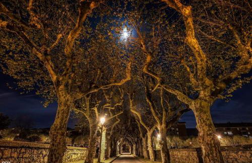 Amalur EBI 741 URDAIBAI - Photo 66