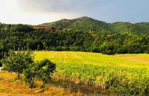 Gîte Les Voûtes du Chambon - Foto 51