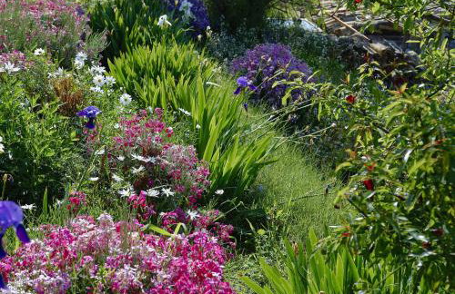 Apartment Cacini Dvori - Foto 27