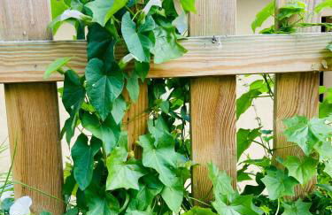 Casa Azul Rodiles - Foto 32