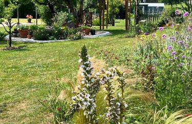 La Grange Charton Gite - Foto 21